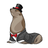 Seal Groom Wedding