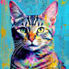 bunte Katze