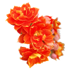 SPRING FLOWERS (dahlia)