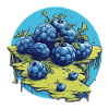 Blaubeere