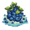 Blueberry