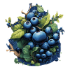 Blueberry