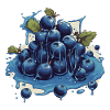Blueberry