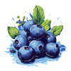 Blaubeere