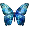 Blue Morpho Butterfly