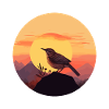 Wren bird