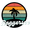 Baggersee Insel Urlaub Freizeit