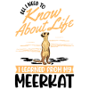 Erdmännchen Meerkat