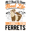 Ferret Lovers