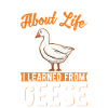Geese Goose breeder goose