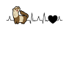 Ferret heartbeat