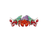Hermit Crab Gifts