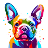 French Bulldog Portrait