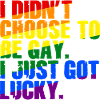 Umorismo gay Gay che dice divertente bandiera arcobaleno