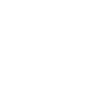 Rune viking du loup