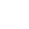 Developer Coder Programmer Dame