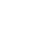 Scout Guide