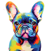 Toto Bulldog français
