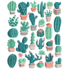 Cacti