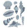 Mussels