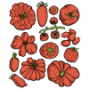 Tomatoes