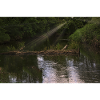 Wild river.