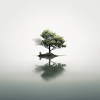 Insel