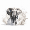 Éléphant