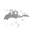 Hippopotamus