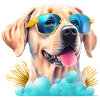 Labrador with sunglasses