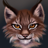 Young Lynx