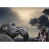 Gorillas