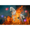 A burning horse.
