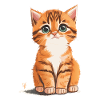 Cute cat - house cat