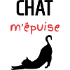 chat m'épuise