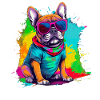 Französische Bulldogge Hund Mops