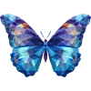 Blue Morpho Butterfly