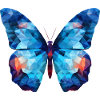 Blue Morpho Butterfly