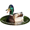 Plappermaul babble chatter duck