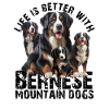 Berner Sennenhund