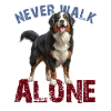 Bernese Mountain Dog