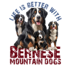 Berner Sennenhund