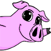 Pig Greeting Greeting