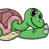 Turtle Greeting Greeting