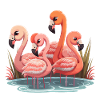 Flamingo Flock
