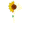 Sunflower Ergothérapie Nouveauté Thérapeute