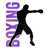 Boxsport Boxing