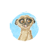 Meerkat Animal Fur Safari