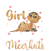 Meerkat Group