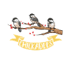 Bird Chickadee Bird Watching